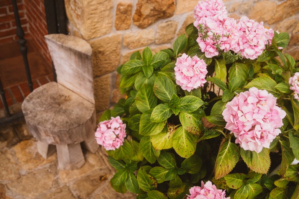 Detalle de unas hortensias y un taburete en una casa rural de Fuente de Güelo